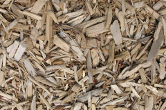 biomass boilers Llanychaer